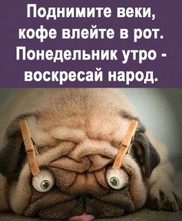 XNSycM81CbA
