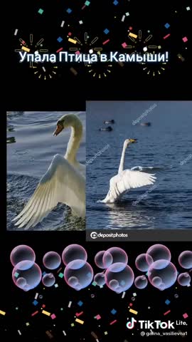 77cf12ad1006e1488a824f635f1c63a6