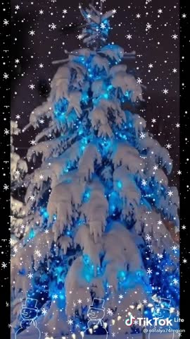 video-52f8e357ae8c28c65c00b995220b8802-V