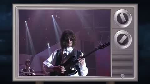 Божья_коровка_Гранитный_камушек