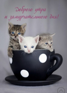 IMG-81cd13f4f7d2dd4acf08c003086eee4a-V