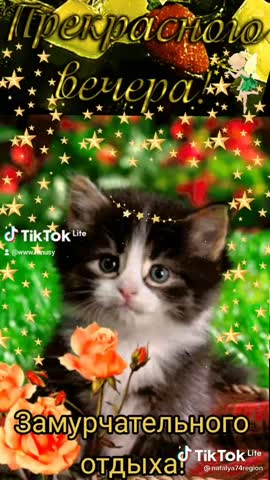 -5271442334708769544