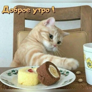 d2de_sY0bdc