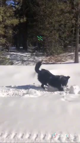 f13e4be4a03e8c69d50480bf72aacc78