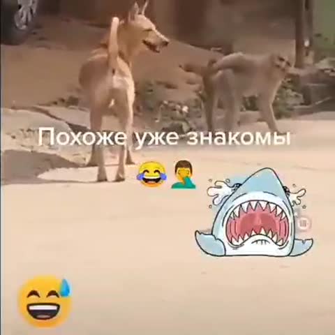 VID_20220126_202546_432