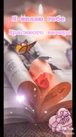 d6310bb8fc0e754799c5b3dfa3c97f5b