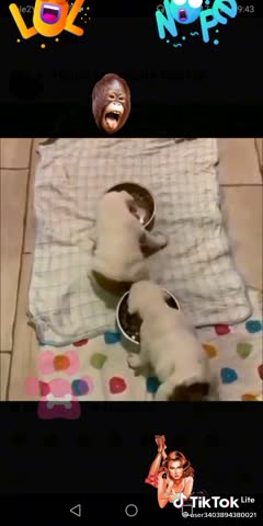 ba1fdaa76e6850b62474d7a84e843d51