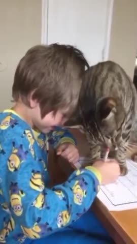 -Игра-с-Котом-