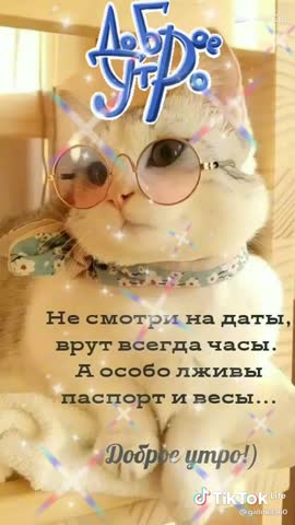 video-031734ffffa41591b232af3add8ce12d-V