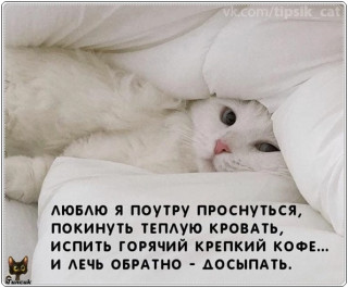 Uzj_AwdmJMY