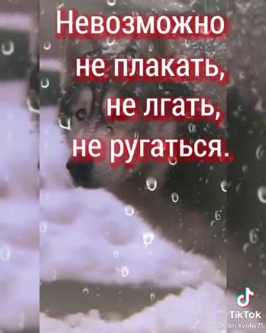 aeeaad0a4667db7355a98b3e5c04d424