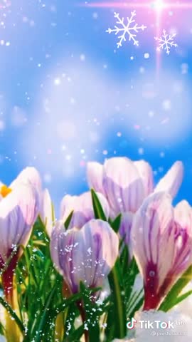 43c8c2f135dc7cdc5b892393ceb96601