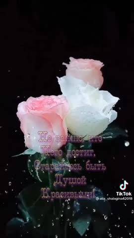 3fd6d2341d7b1cb348d84273764dea24