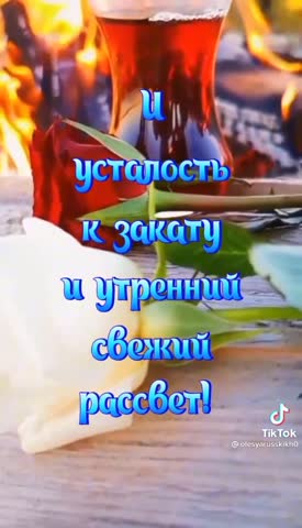 03240a7b066364414daae49b0066d3bb