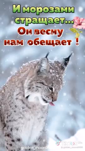 a111b4a42057783659e8ad3214426a23