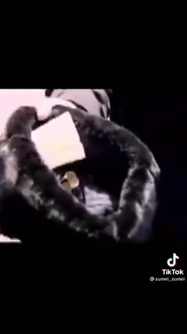 50bd592243d846b4f7b8ea5dc1d2cb3e