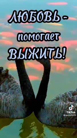 -Природа-Любовь-Юмор-