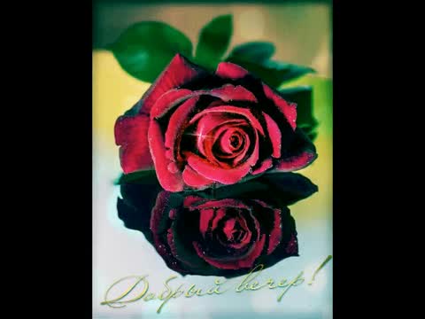 Foiz__video20220202_214927