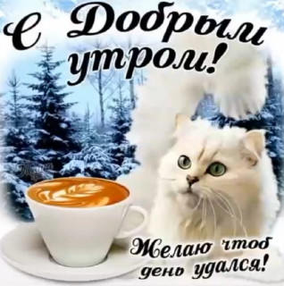 os9JJ6jTMDI