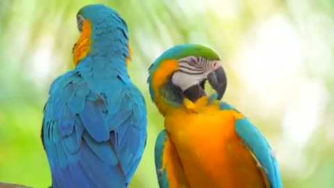 философия_ожидания