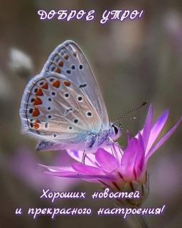 IMG-a36d060aa610c576e5d9c95a5ecad183-V