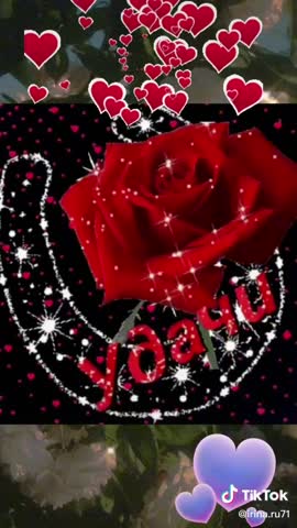 76276a8429688d34d4c01eb756f0bd9e