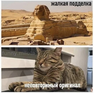 oWEgmDy0kOk