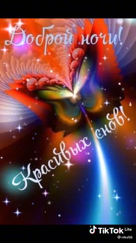 -2804009985879769952