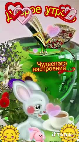 -4224302095931292880