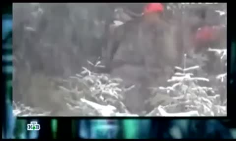 Kievskaja_jolka_terminator-div