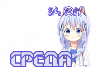 среда_4
