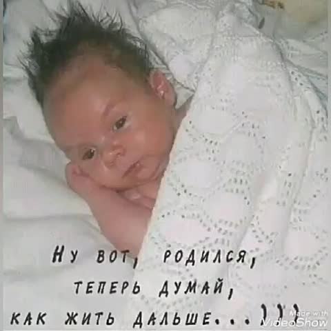 День внучат