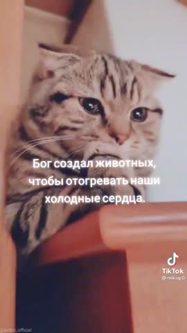 6941e7d5eaa741fd937b500e63b2dbeb