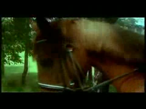 vclipe__Belyj_Orel_-_Kak_upoitelqny_v_Rossii_vechera