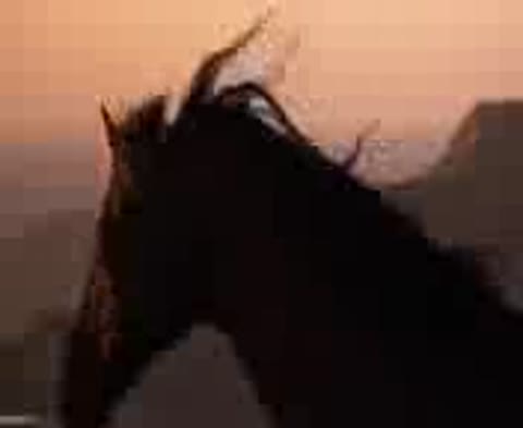 deMOB__Al_Bano_amp_Romina_Power_Liberta--_im