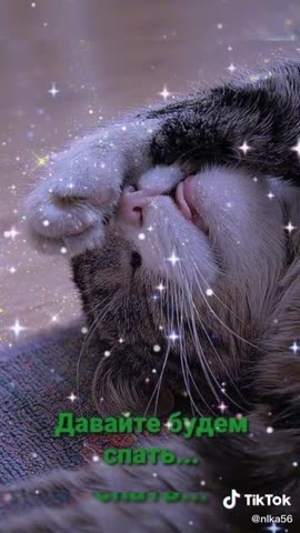 158b26b56cb53b228284525e87c79ef4