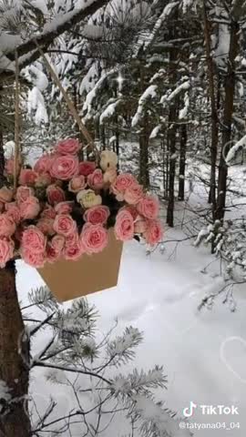 2066f6781c5735bc8f36d8cf99b00e9a