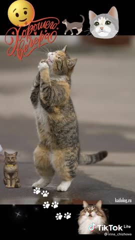 Доброго вечера