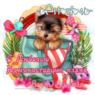 администрация_1