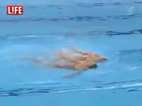 Дагестанский_комментатор__Синхронное_плавание240P