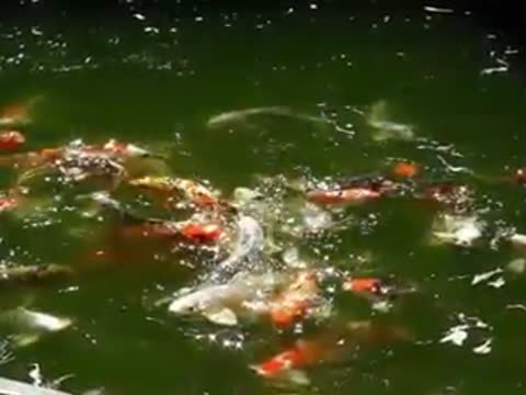 бамбуковая_флейта