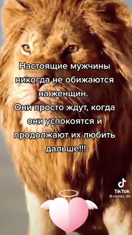 a86037747c8bbe51e09dd50ff6b91e61