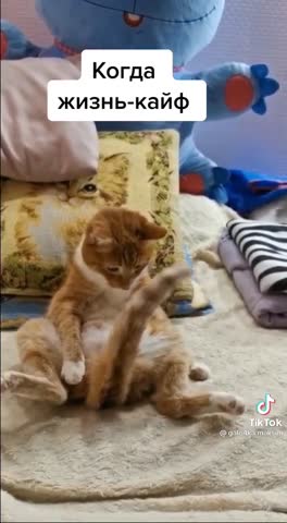 Жизнь в кайф
