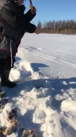 Вот так рыбалка