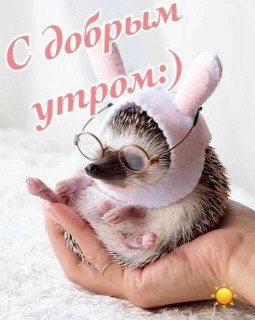 0BbFzhaCFSw