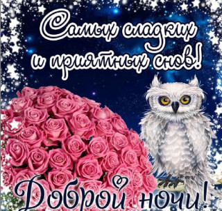 QI9sRhKgd_U