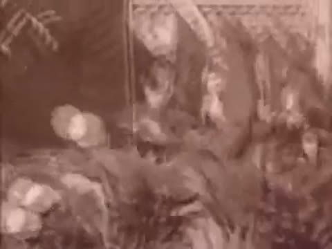 Сектор_газа_Туман