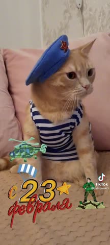 video-e3bb2898d9f1d00c1fd4d89306759649-V