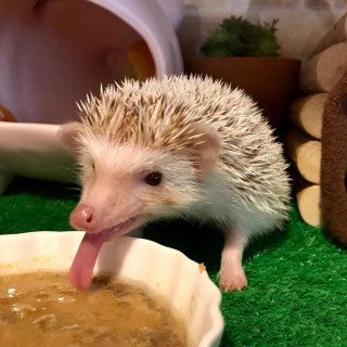 6uK8cNdwyNY