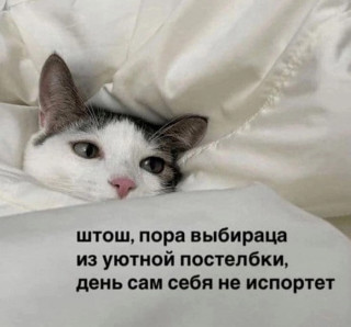 ADkrXHtBhuA